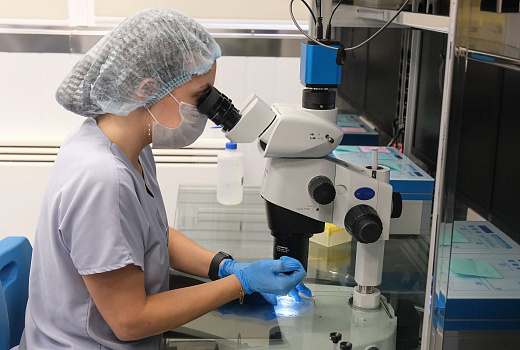 Ученые «Сириуса» разрабатывают умные клетки против рака и ожирения