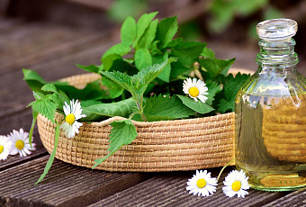 Зеленая аптека: какие  общеизвестные растения лучше всего укрепляют здоровье волос