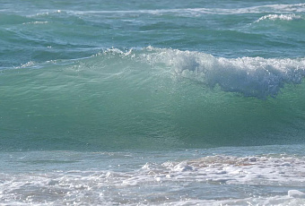 Температура Черного моря на Кубани достигла +25 градусов в Сочи