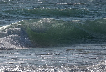 Ученые ЮНЦ РАН не выявили серьезного нефтяного загрязнения Азовского моря