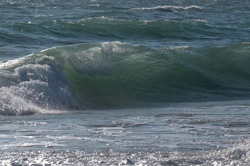 Ученые ЮНЦ РАН не выявили серьезного нефтяного загрязнения Азовского моря