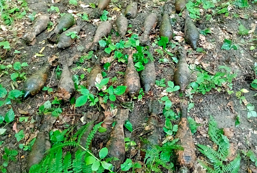 На Кубани росгвардейцы уничтожили 36 боеприпасов времен Великой Отечественной