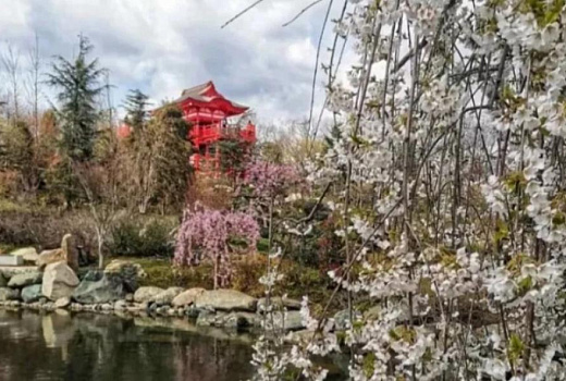 В Краснодаре подорожал бесплатный вход в Японский сад