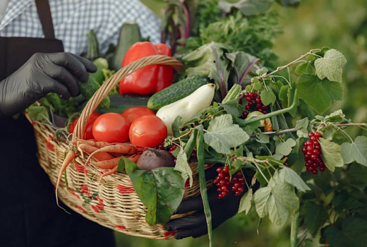 Учёные выяснили, что эффективность селекции завышали вдвое из-за ошибки в расчётах