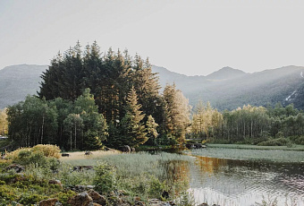Число туристов в российских заповедниках и нацпарках выросло на 5 млн в 2025 году