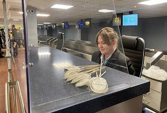 Аэропорт Краснодара обслужил полмиллиона пассажиров за 79 дней