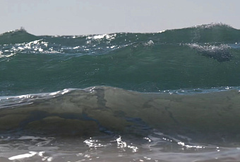 Снегопад, ветер и шторм накроют Сочи и Сириус в ближайшие сутки