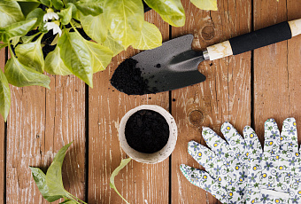 Когда забота во вред: чем опасна перекормка растений