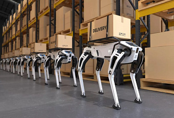 Российские ученые создали среду для координации тысяч роботов на складах и в городах