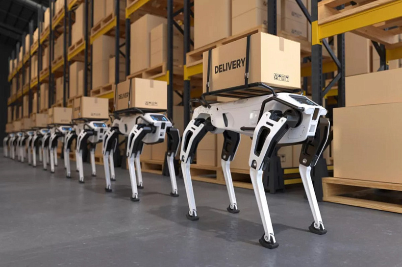 Российские ученые создали среду для координации тысяч роботов на складах и в городах