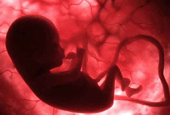 Почему малыши зевают еще в утробе – и что это скажет о его развитии