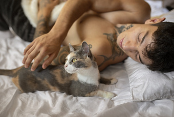 Бодает – значит любит: почему кошки бьются головой о хозяина