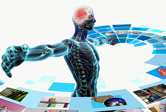 5 удивительных фактов о вашем теле и организме