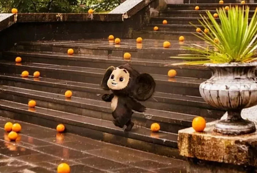 Сочи вошел в топ-3 желанных направлений для кинотуризма в России