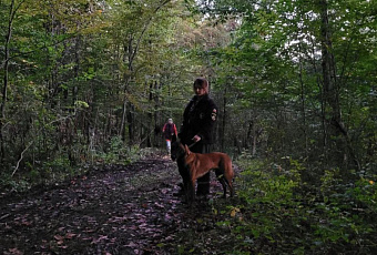 Пенсионерка провела ночь в сочинском лесу после сбора грибов