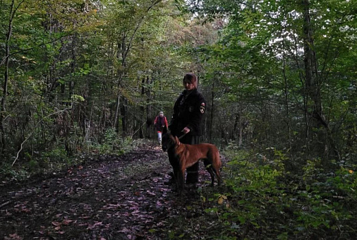 Пенсионерка провела ночь в сочинском лесу после сбора грибов