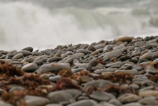 Пятибалльный шторм с волнами до трех метров ожидается в Сочи
