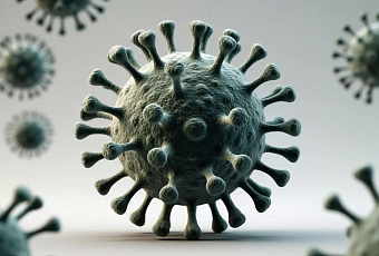 В регионах РФ зафиксирован рост COVID-19: доминирует штамм «Стратус» с температурой до 39°C