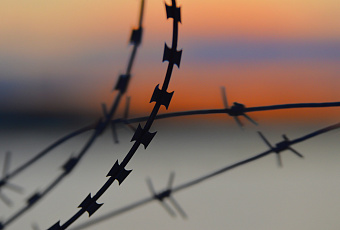 Враг не пройдет: в Брянской области пресекли попытку проникновения украинских диверсантов