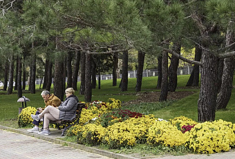 Число предложений подработки для пенсионеров на Кубани выросло на 87% в 2025 году