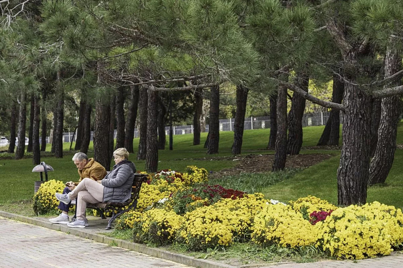 Число предложений подработки для пенсионеров на Кубани выросло на 87% в 2025 году