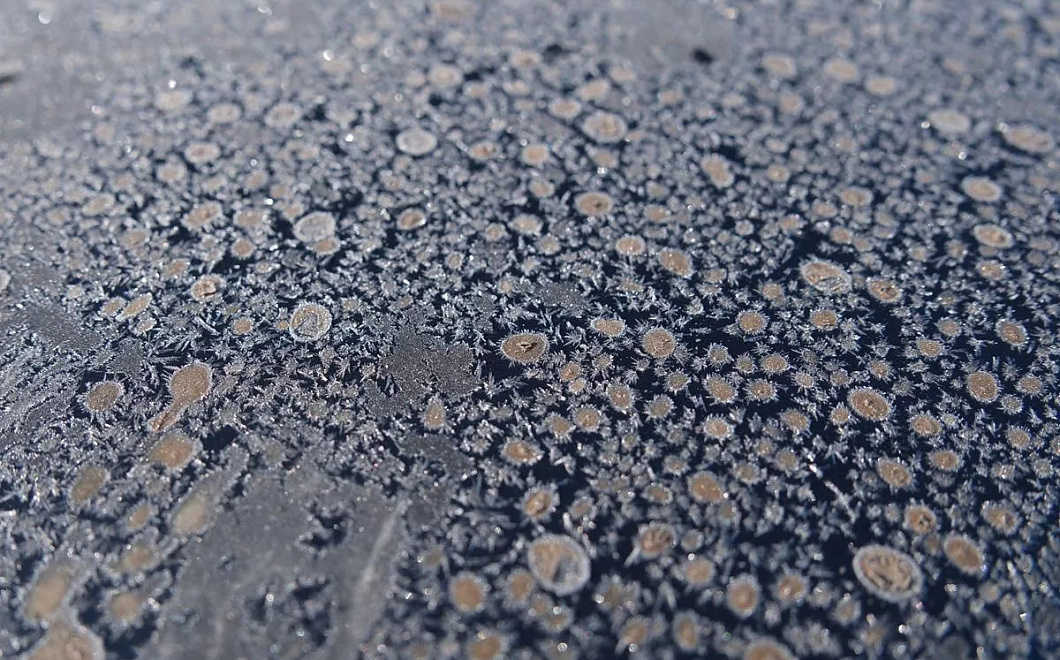 Зима «огрызнется» на прощание: на Кубани ожидаются ночные морозы до -8 градусов