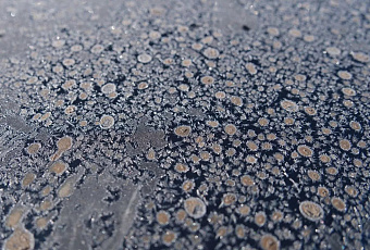 Зима «огрызнется» на прощание: на Кубани ожидаются ночные морозы до -8 градусов