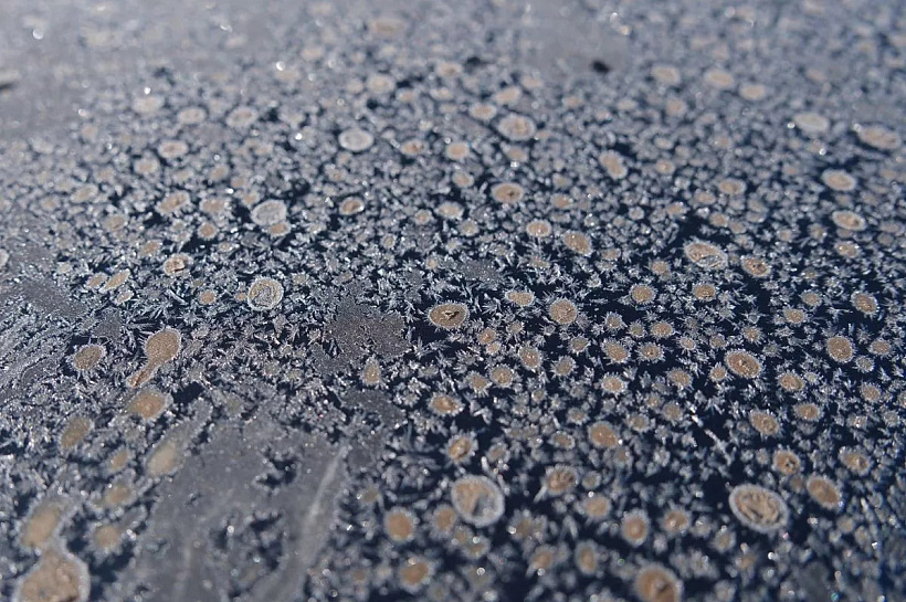 Зима «огрызнется» на прощание: на Кубани ожидаются ночные морозы до -8 градусов