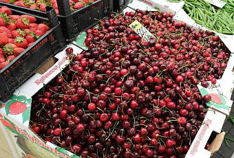 Экономист Светлана Ильяшенко: узбекская черешня подорожает на 7-10%