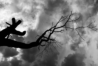 Аномальное потепление принесло в Россию рекордно теплую погоду