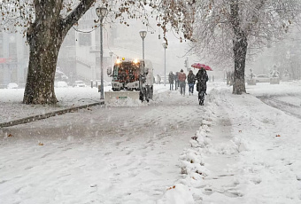 Каждый третий краснодарец считает 12 дней новогодних каникул оптимальным сроком