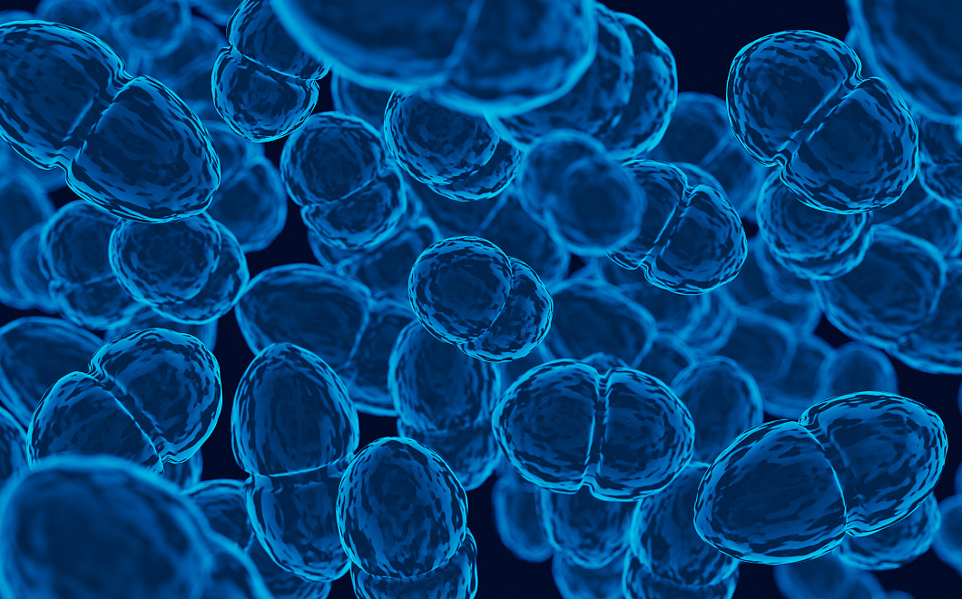 Учёные создали геномный редактор CRISPR/Cas9, работающий только в раковых клетках