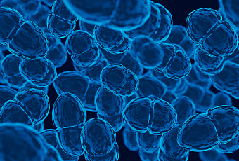Учёные создали геномный редактор CRISPR/Cas9, работающий только в раковых клетках