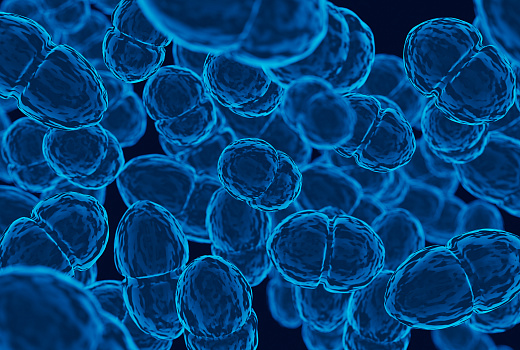 Учёные создали геномный редактор CRISPR/Cas9, работающий только в раковых клетках