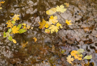 Синоптик Шувалов: похолодание в России начнется с Краснодарского края