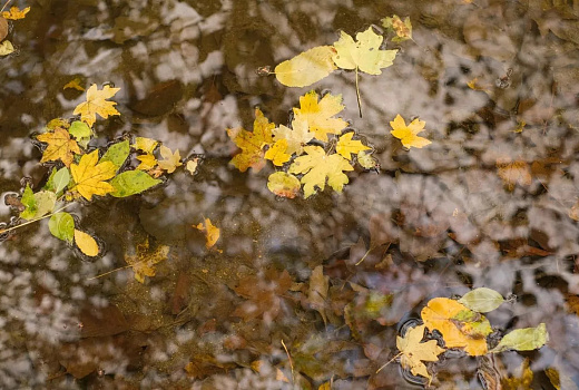 Синоптик Шувалов: похолодание в России начнется с Краснодарского края