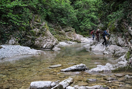 Жители Краснодарского края чаще всего путешествовали внутри региона летом 2025 года