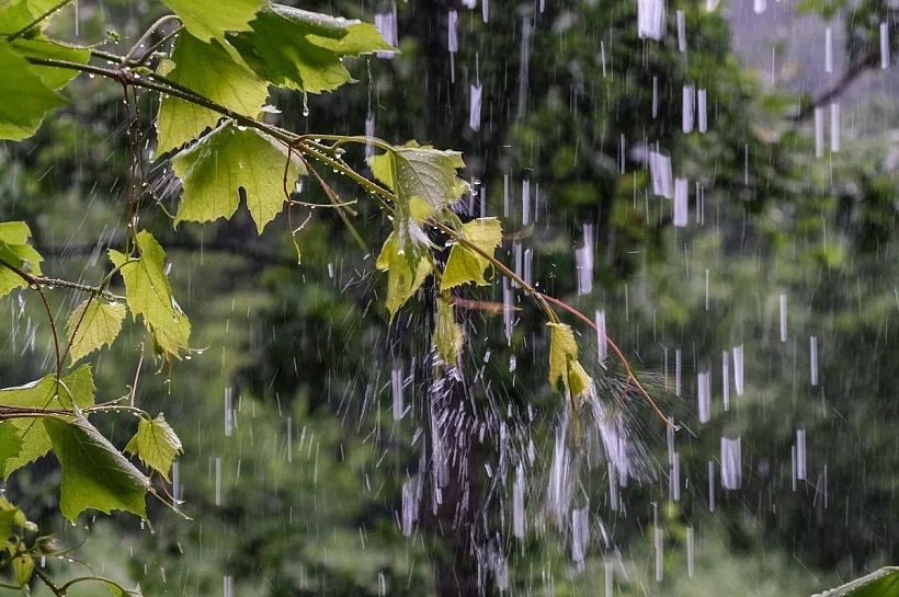 Ненастный вихрь продолжит портить погоду в Краснодарском крае: температура ниже нормы, дожди и ветер