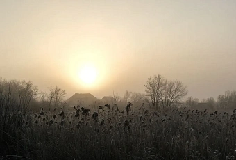 Ночные заморозки, утренние туманы и до +19 днем: какой будет погода на Кубани в выходные