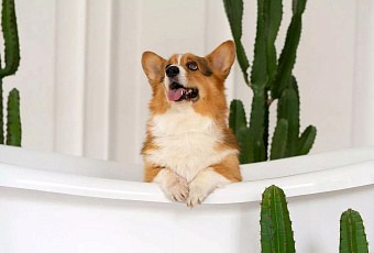 Родители студентов массово покупают квартиры вместо общежитий