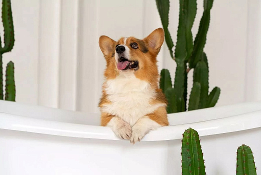 Родители студентов массово покупают квартиры вместо общежитий