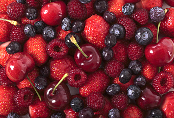Производство ягод в России растет благодаря инвестициям в малину и голубику
