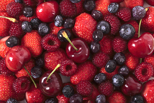 Производство ягод в России растет благодаря инвестициям в малину и голубику