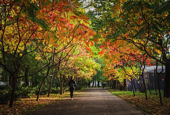 Восемь городов Кубани вошли в десятку самых теплых в России