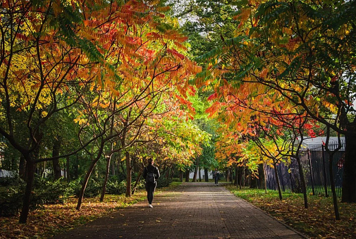 Восемь городов Кубани вошли в десятку самых теплых в России