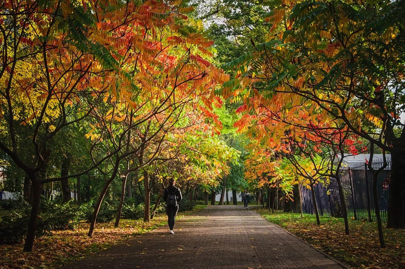 Восемь городов Кубани вошли в десятку самых теплых в России