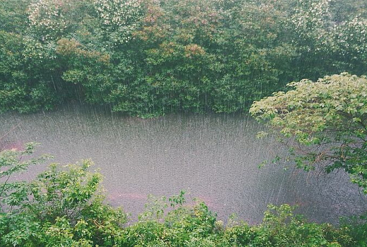 Жителей российского региона предупредили о надвигающейся непогоде