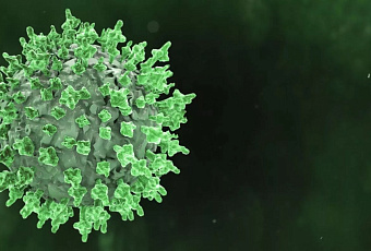 Врачи предупредили о распространении вируса Коксаки в России