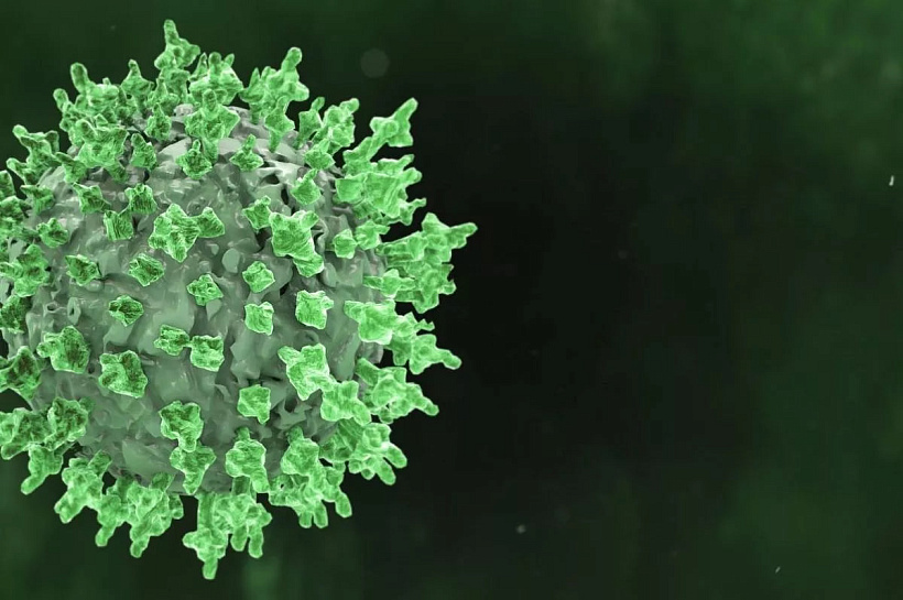 Врачи предупредили о распространении вируса Коксаки в России