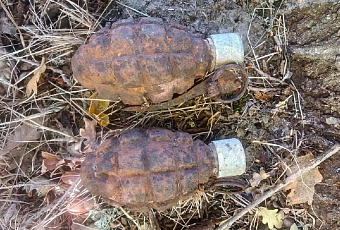 Росгвардия уничтожила гранаты времен ВОВ в Абинском районе Кубани